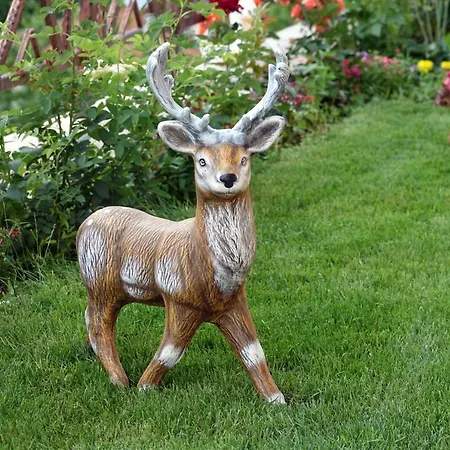 מלון דירות борник хил / Bornik Hill 4*