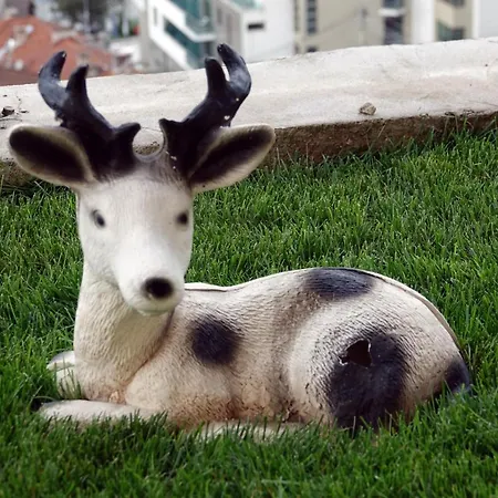 מלון דירות борник хил / Bornik Hill דבין