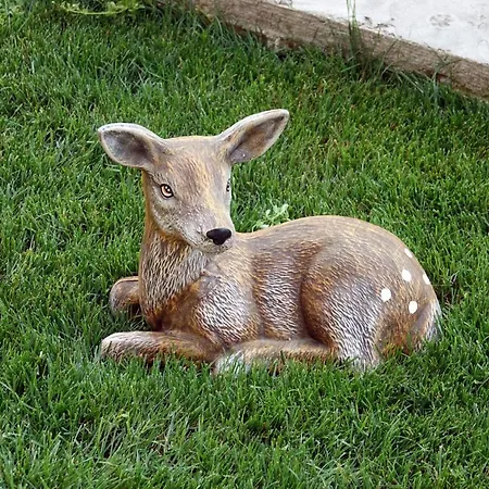 борник хил / Bornik Hill דבין