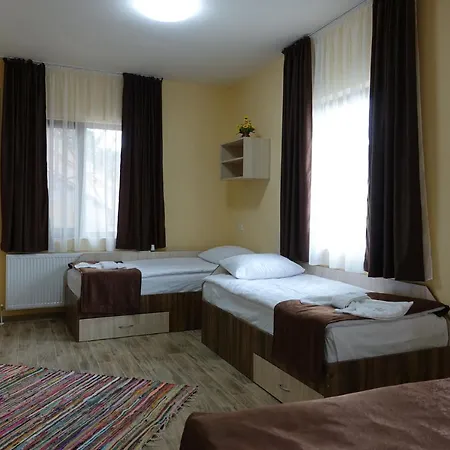 борник хил / Bornik Hill 4* 代温