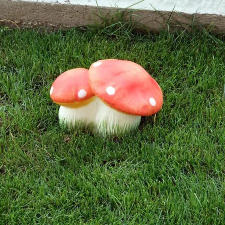 борник хил / Bornik Hill מלון דירות