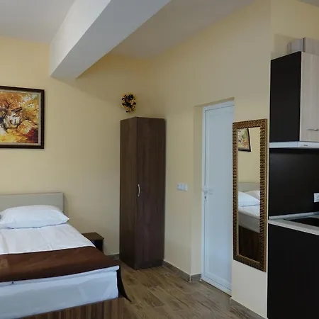 борник хил / Bornik Hill 4* 代温