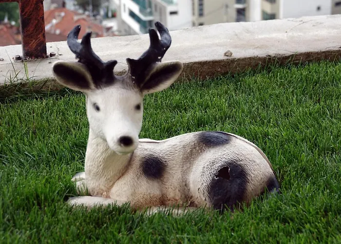 Aparthotel борник хил / Bornik Hill Devin