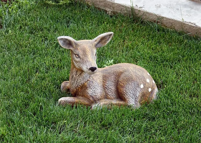 борник хил / Bornik Hill Devin