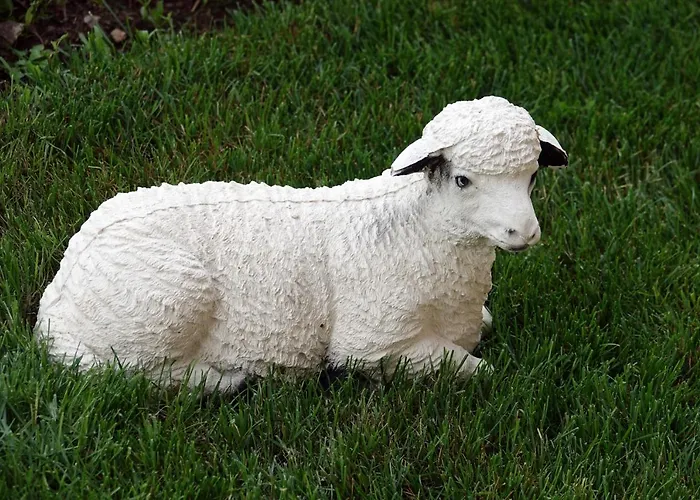 Aparthotel борник хил / Bornik Hill