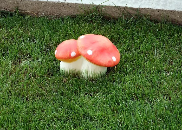 борник хил / Bornik Hill Aparthotel